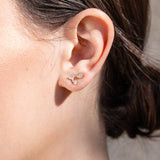 Pendientes Pequeños Oro Amarillo Multi