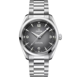 OMEGA Seamaster Railmaster 38 mm | 235.10.38.20.06.001