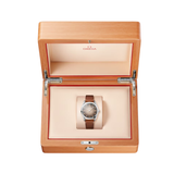 OMEGA Seamaster Railmaster 38 mm | 235.12.38.20.13.001
