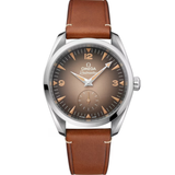 OMEGA Seamaster Railmaster 38 mm | 235.12.38.20.13.001