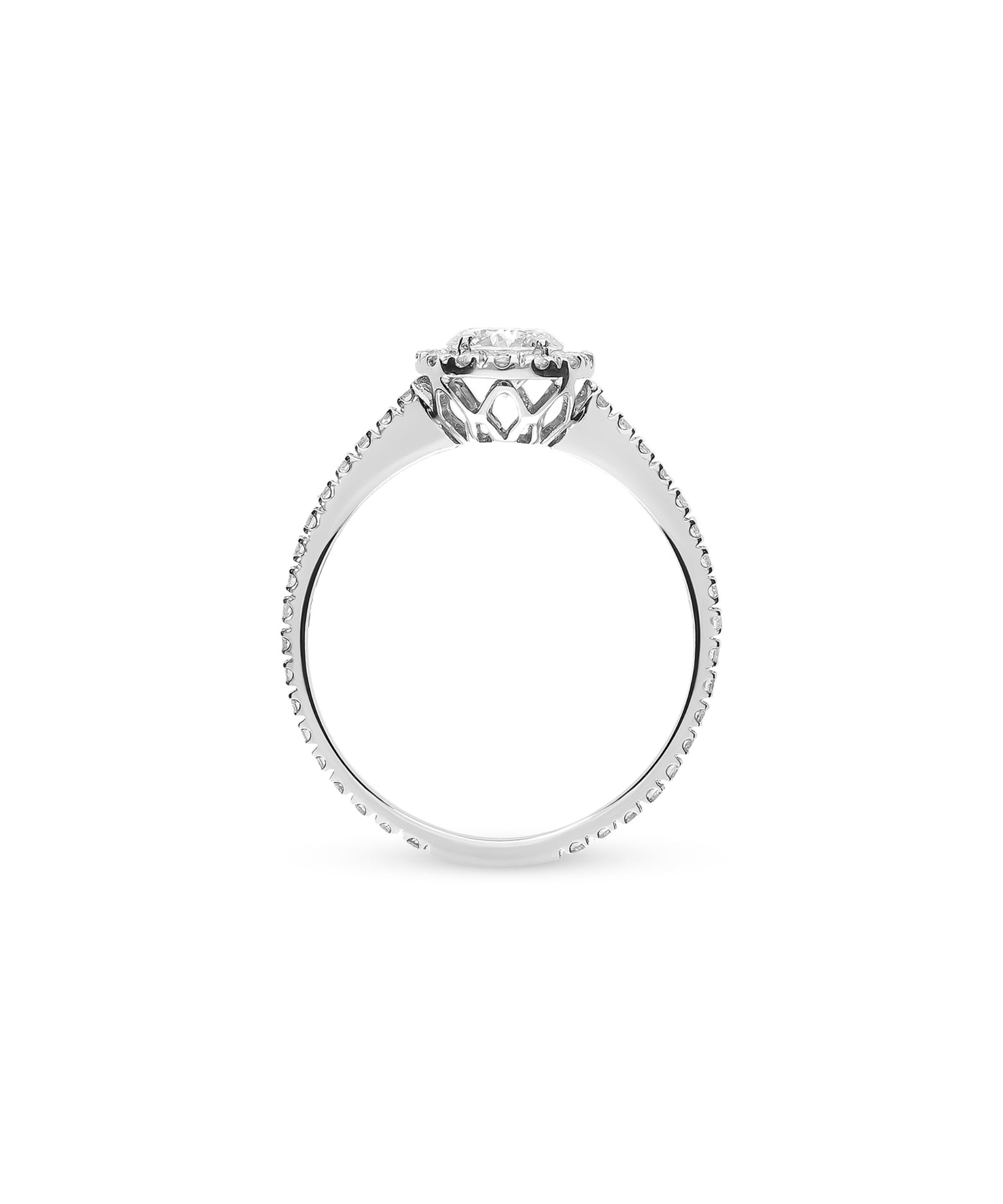 Anillo roseta de diamantes en oro blanco de 0,88 quilates con halo de diamantes y brazo engastado.