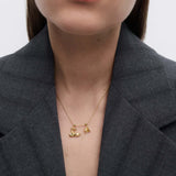 Charm Cisnes Corazón PDPAOLA Oro | CH01-310-U