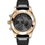 IWC Reloj de Aviador Cronógrafo de Alto Rendimiento 41 mm | IW388309