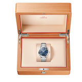 OMEGA Seamaster Aqua Terra 150M Co-Axial Master Chronometer Azul Acero 41 mm | 220.10.41.21.03.001