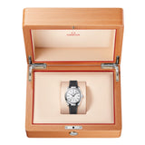OMEGA Seamaster Aqua Terra 150M Plateado Acero 38 mm | 220.12.38.20.02.001
