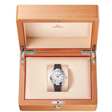 OMEGA Seamaster Aqua Terra 150M Plateado Acero 41 mm | 220.12.41.21.02.002