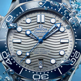 OMEGA Seamaster Diver 300M Co-Axial Master Chronometer Gris Acero 42 mm | 210.32.42.20.06.001