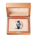 OMEGA Seamaster Diver 300M Co-Axial Master Chronometer Gris Acero 42 mm | 210.32.42.20.06.001