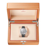 OMEGA Seamaster Diver 300M Co-Axial Master Chronometer Gris Acero 42 mm | 210.32.42.20.06.002