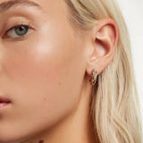 Pendientes PDPAOLA Tiger Plata Baño Oro | AR01-291-U