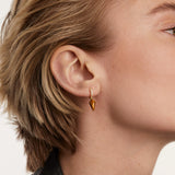 Piercing PDPAOLA Naoki Ojo de Tigre Plata Baño Oro | PG01-692
