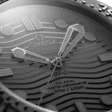 OMEGA Seamaster Diver 300M Black Black Co-Axial Master Chronometer Negro Cerámica 43,5 mm | 210.92.44.20.01.003