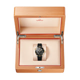 OMEGA Seamaster Diver 300M Co-Axial Master Chronometer Negro Acero y Oro Amarillo 42 mm | 210.22.42.20.01.001