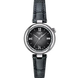Tissot Desir Cuarzo Negro Acero 28 mm | T152.010.16.038.00